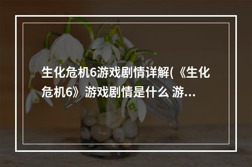 生化危机6游戏剧情详解(《生化危机6》游戏剧情是什么 游戏剧情介绍  机)