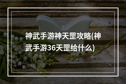 神武手游神天罡攻略(神武手游36天罡给什么)