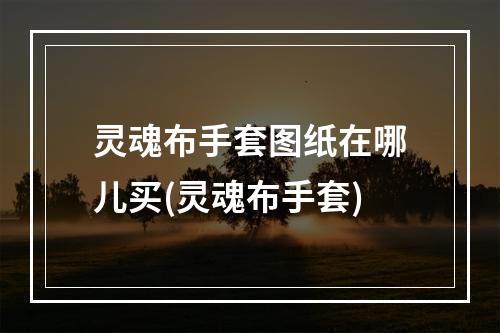 灵魂布手套图纸在哪儿买(灵魂布手套)