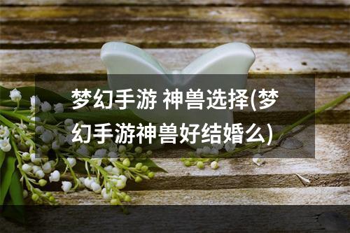 梦幻手游 神兽选择(梦幻手游神兽好结婚么)