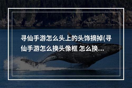 寻仙手游怎么头上的头饰摘掉(寻仙手游怎么换头像框 怎么换头像框攻略)