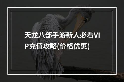 天龙八部手游新人必看VIP充值攻略(价格优惠)