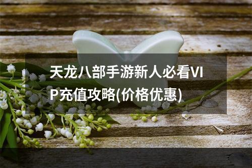 天龙八部手游新人必看VIP充值攻略(价格优惠)