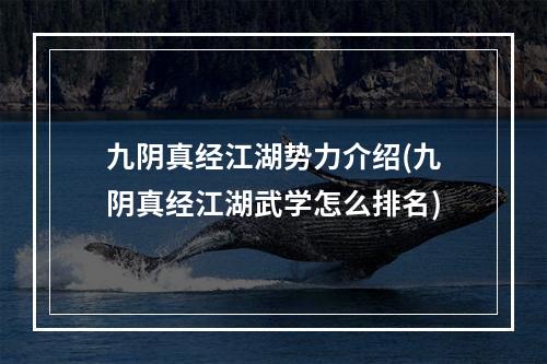 九阴真经江湖势力介绍(九阴真经江湖武学怎么排名)