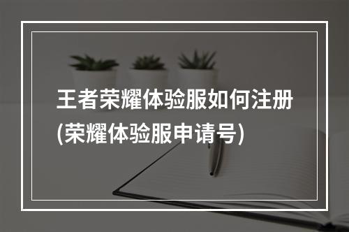 王者荣耀体验服如何注册(荣耀体验服申请号)