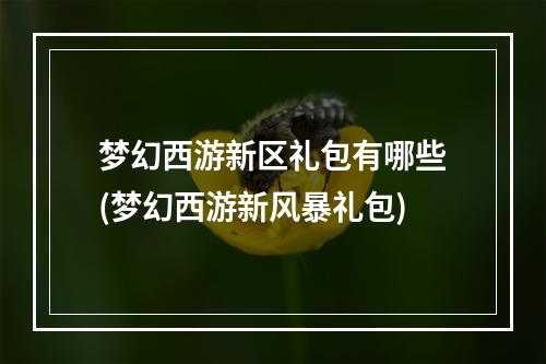 梦幻西游新区礼包有哪些(梦幻西游新风暴礼包)