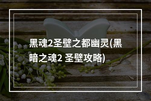 黑魂2圣壁之都幽灵(黑暗之魂2 圣壁攻略)