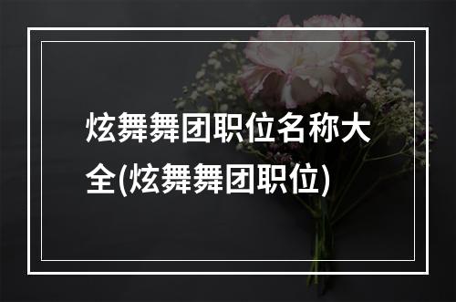 炫舞舞团职位名称大全(炫舞舞团职位)