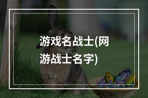 游戏名战士(网游战士名字)