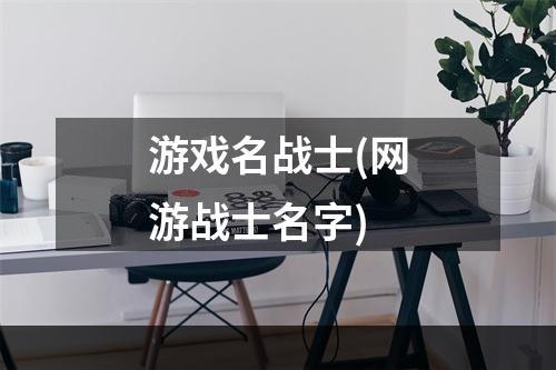 游戏名战士(网游战士名字)