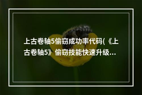 上古卷轴5偷窃成功率代码(《上古卷轴5》偷窃技能快速升级方法)