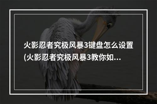 火影忍者究极风暴3键盘怎么设置(火影忍者究极风暴3教你如何设置键盘操作)