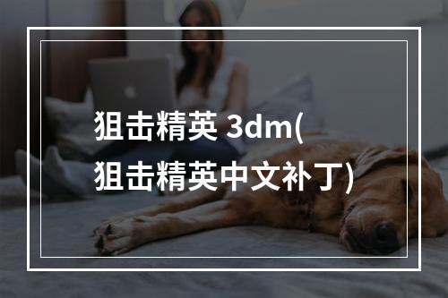 狙击精英 3dm(狙击精英中文补丁)