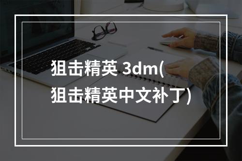 狙击精英 3dm(狙击精英中文补丁)