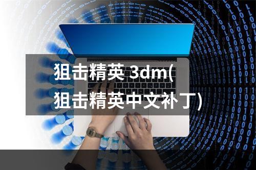 狙击精英 3dm(狙击精英中文补丁)