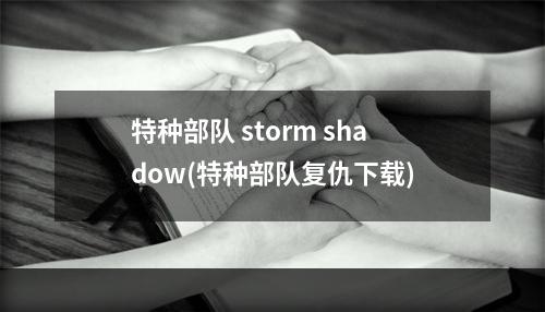 特种部队 storm shadow(特种部队复仇下载)