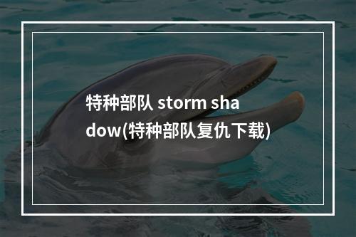 特种部队 storm shadow(特种部队复仇下载)