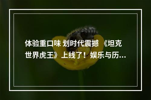 体验重口味 划时代震撼 《坦克世界虎王》上线了！娱乐与历史相融合！