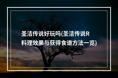 圣洁传说好玩吗(圣洁传说R 料理效果与获得食谱方法一览)