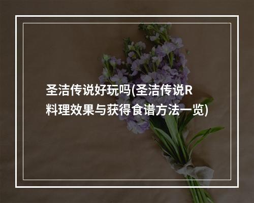 圣洁传说好玩吗(圣洁传说R 料理效果与获得食谱方法一览)