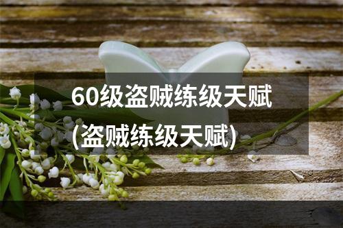 60级盗贼练级天赋(盗贼练级天赋)