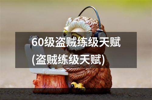 60级盗贼练级天赋(盗贼练级天赋)