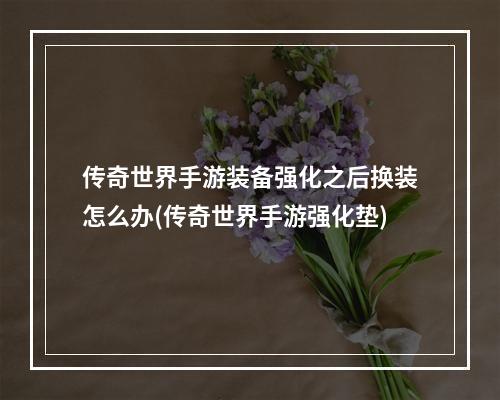 传奇世界手游装备强化之后换装怎么办(传奇世界手游强化垫)