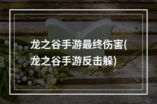 龙之谷手游最终伤害(龙之谷手游反击躲)