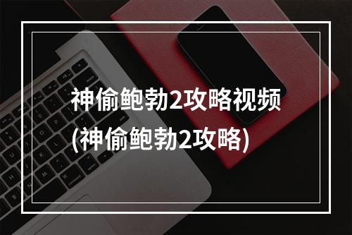 神偷鲍勃2攻略视频(神偷鲍勃2攻略)