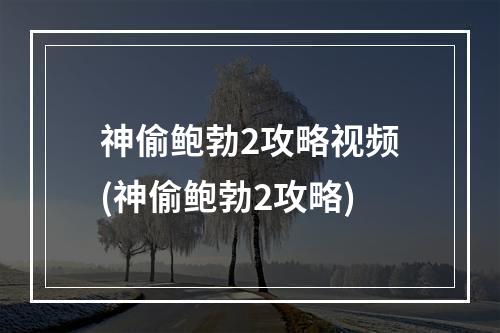 神偷鲍勃2攻略视频(神偷鲍勃2攻略)