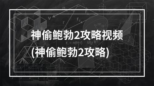 神偷鲍勃2攻略视频(神偷鲍勃2攻略)