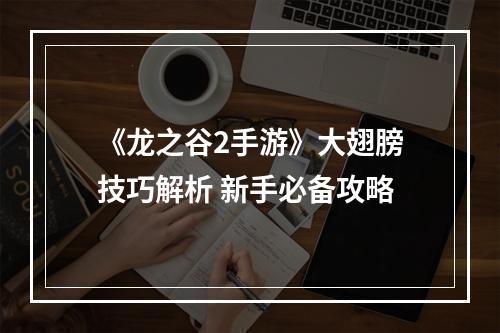 《龙之谷2手游》大翅膀技巧解析 新手必备攻略