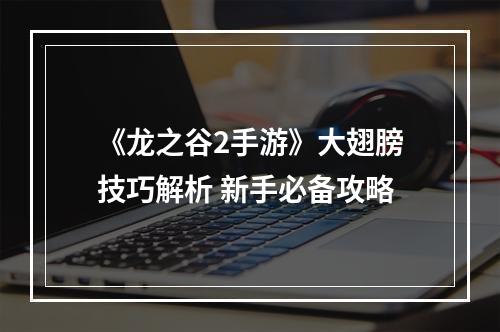 《龙之谷2手游》大翅膀技巧解析 新手必备攻略