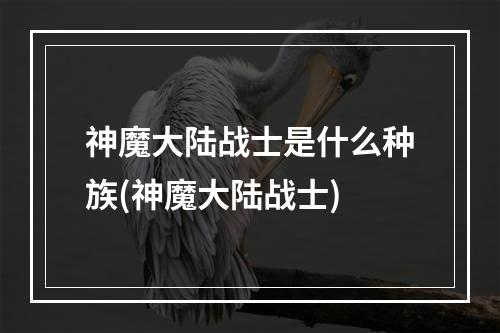 神魔大陆战士是什么种族(神魔大陆战士)