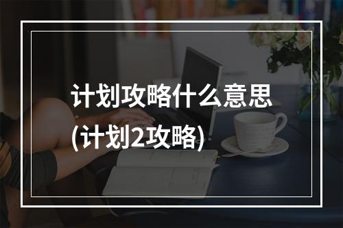 计划攻略什么意思(计划2攻略)