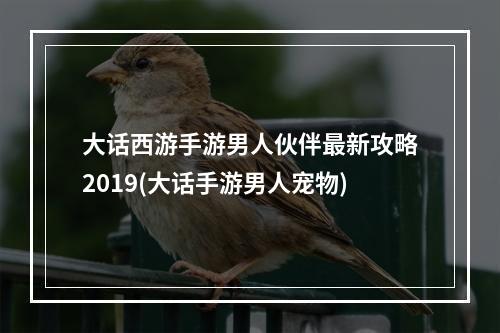 大话西游手游男人伙伴最新攻略2019(大话手游男人宠物)