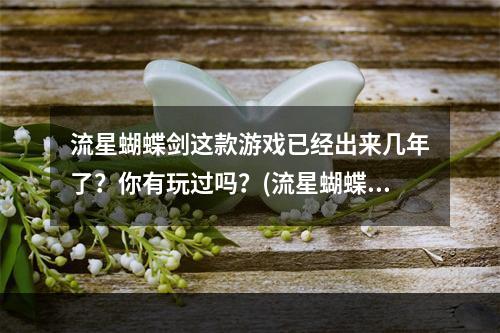 流星蝴蝶剑这款游戏已经出来几年了？你有玩过吗？(流星蝴蝶剑游戏)