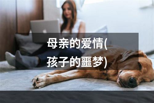 母亲的爱情(孩子的噩梦)