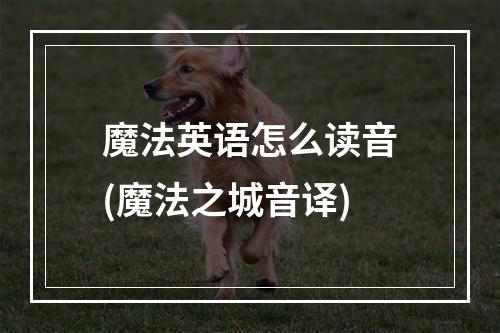 魔法英语怎么读音(魔法之城音译)