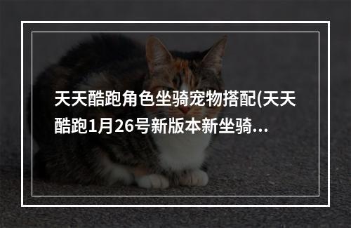 天天酷跑角色坐骑宠物搭配(天天酷跑1月26号新版本新坐骑新宠物图鉴大全)