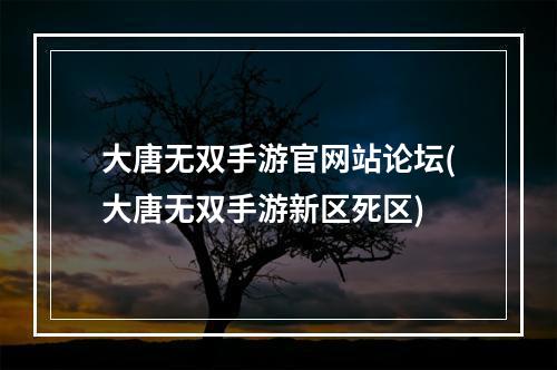 大唐无双手游官网站论坛(大唐无双手游新区死区)