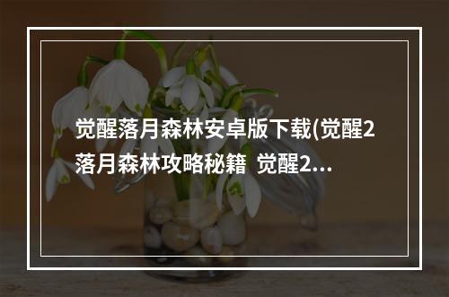 觉醒落月森林安卓版下载(觉醒2落月森林攻略秘籍  觉醒2落月森林全攻略  觉醒2)