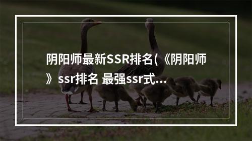 阴阳师最新SSR排名(《阴阳师》ssr排名 最强ssr式神排行榜2022 )