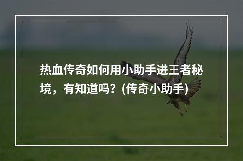 热血传奇如何用小助手进王者秘境，有知道吗？(传奇小助手)