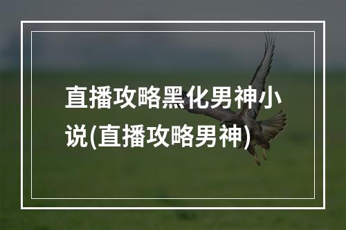 直播攻略黑化男神小说(直播攻略男神)