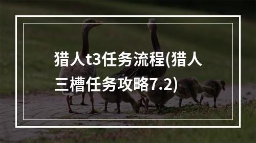 猎人t3任务流程(猎人三槽任务攻略7.2)