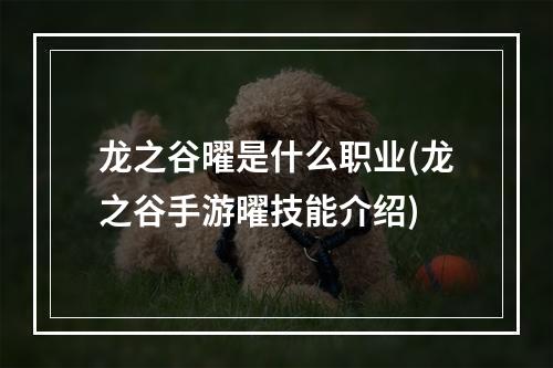 龙之谷曜是什么职业(龙之谷手游曜技能介绍)