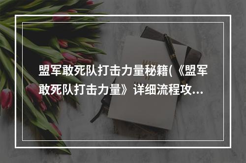 盟军敢死队打击力量秘籍(《盟军敢死队打击力量》详细流程攻略)