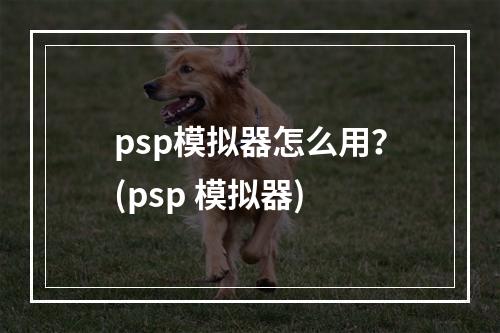 psp模拟器怎么用？(psp 模拟器)