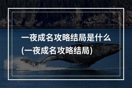 一夜成名攻略结局是什么(一夜成名攻略结局)